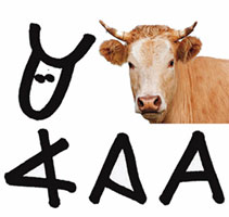 a is een koetje